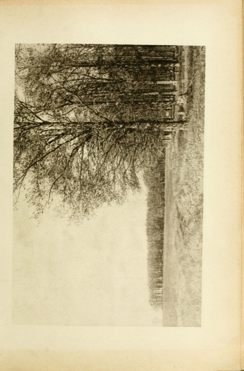 Sage-Brush Tom [1915]