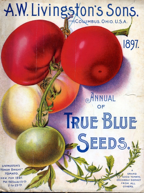 Seeds (400 )