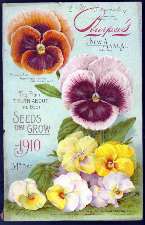 Seeds (400 )