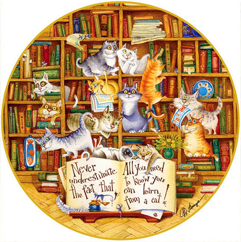 Коты персонажи книг. Иллюстрации к книгам. Кошка в библиотеке. Котик с книжкой. Библиотечные коты.