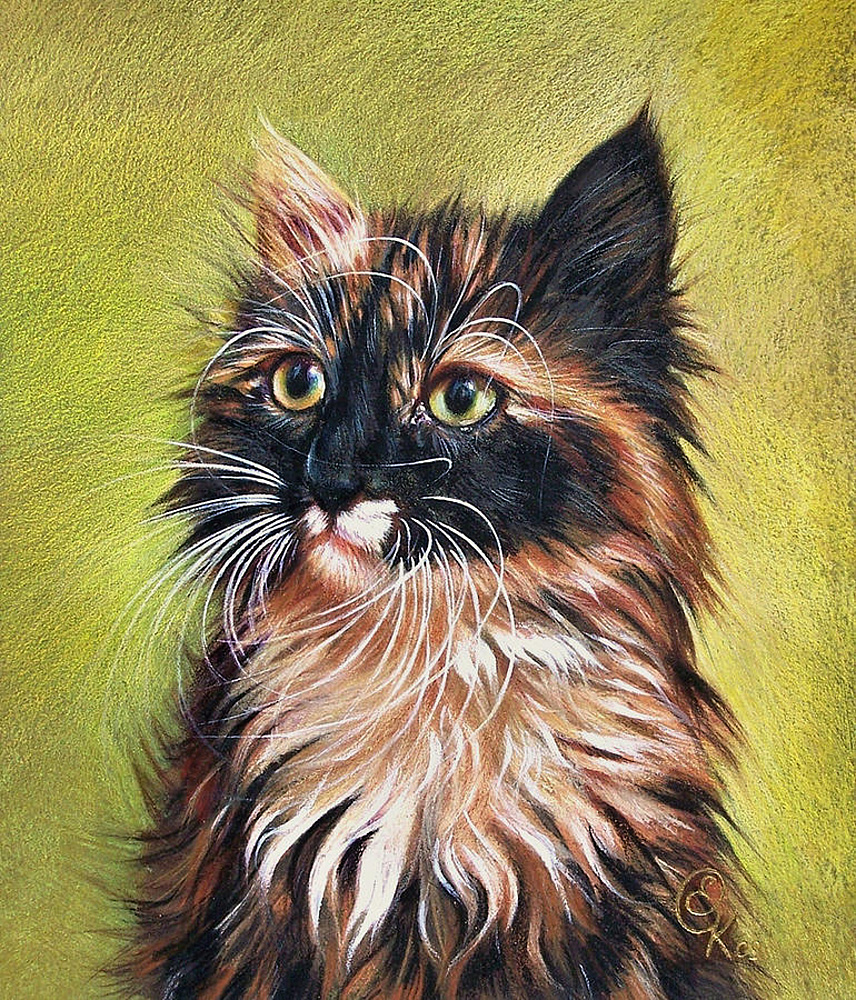 Кот рисунок цветной. Кошачий портрет.