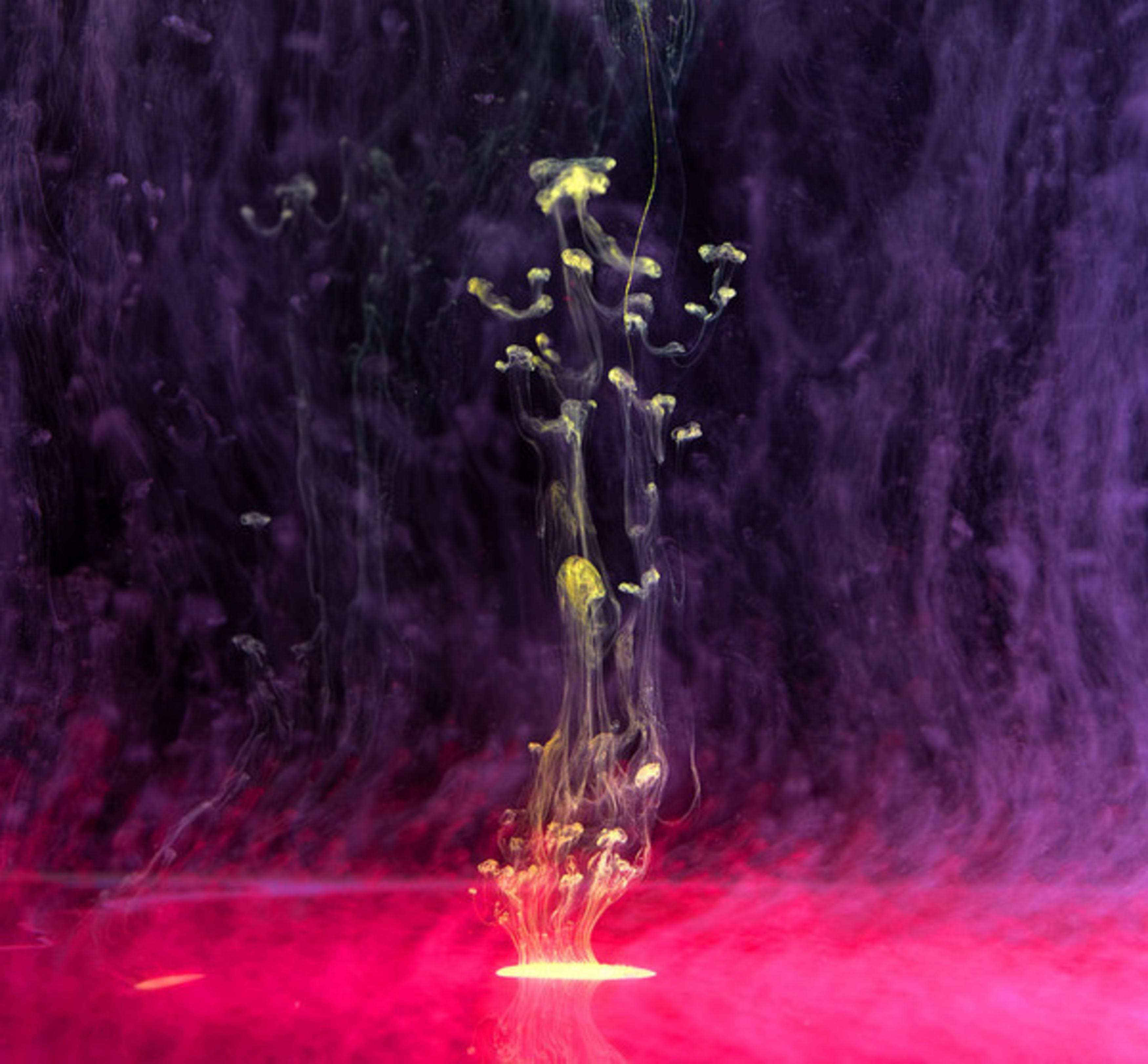 Капля краски в воде. Краска в воде. Краска в воде фото. Цветочный взрыв.
