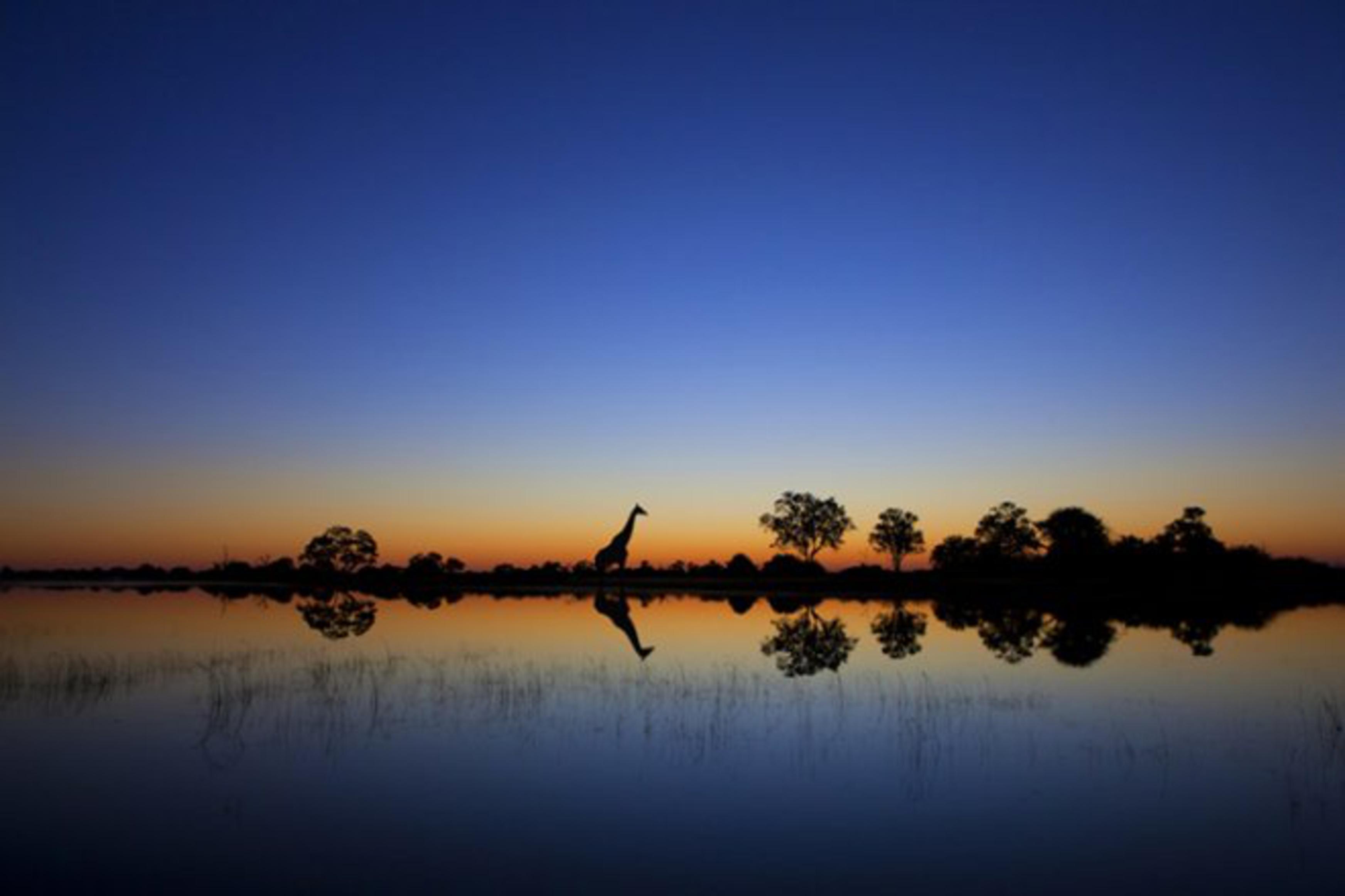 Озеро в африке 4. Озеро Чад. Озеро Чад Нигерия. Камерун озеро Чад. Марио Морено фотограф.