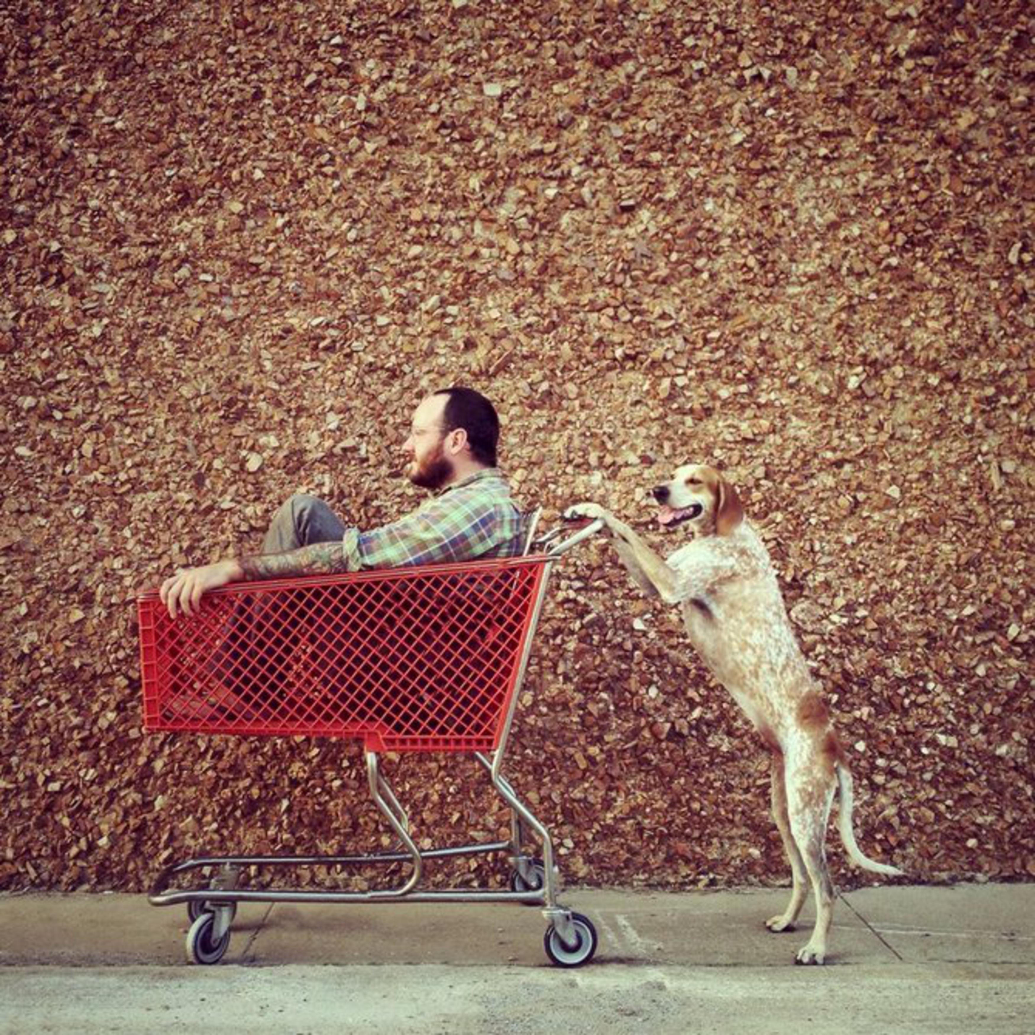 Инстаграм смешное видео. Терон Хамфри фотограф. Мэдди догс. Фотосессия с собакой. Необычная фотосессия с собакой.