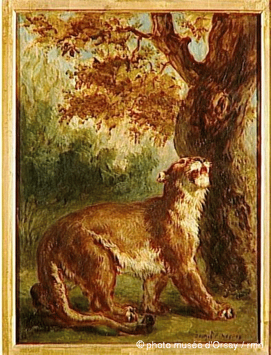 Французский живописец и график - Виктор Эжен Делакруа 1798 - 1863 (264 работ)