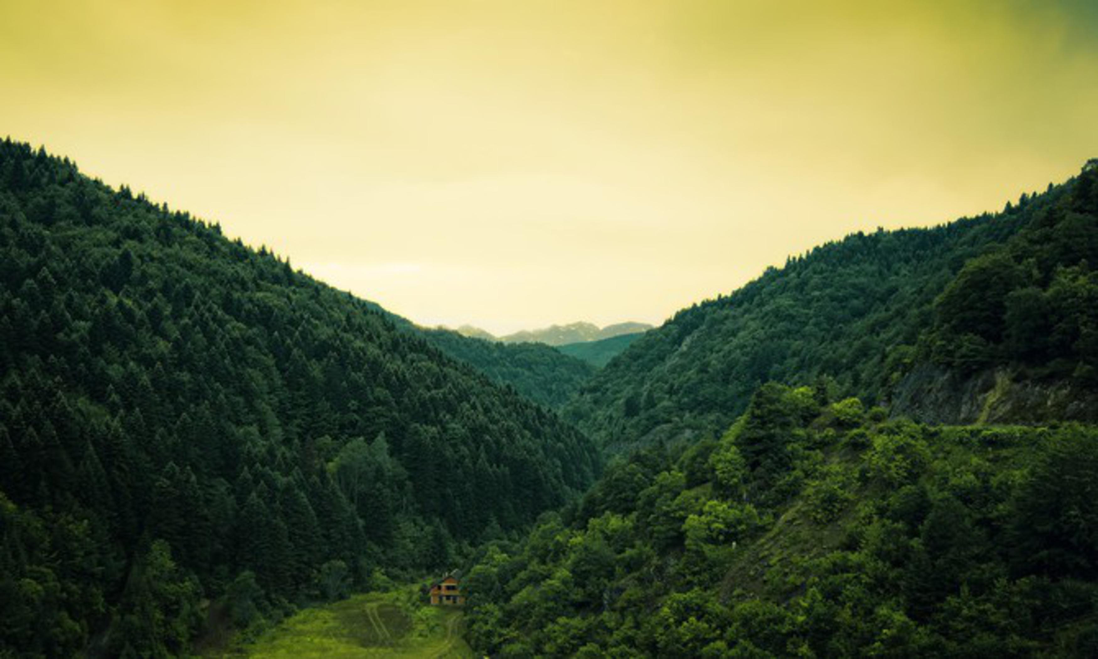 Горы поросшие лесом. Ущелье Борго Трансильвания. Грин Маунтинс хребет. Горная тропа Италия. Лесистые холмы Швейцария.