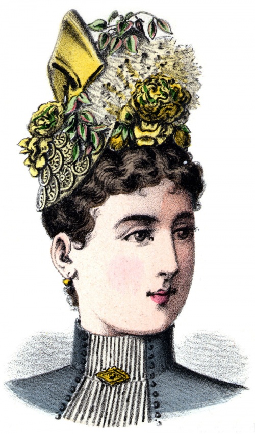 Модели шляп, головных уборов и украшений 1889 года (19 фото)
