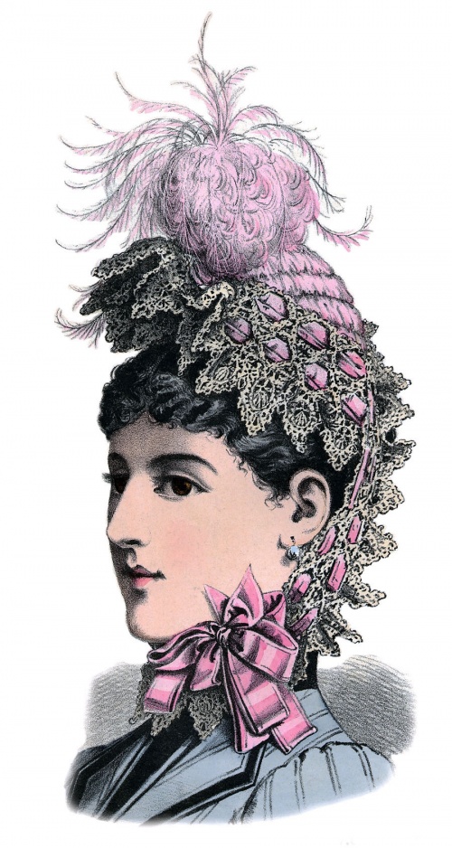 Модели шляп, головных уборов и украшений 1889 года (19 фото)