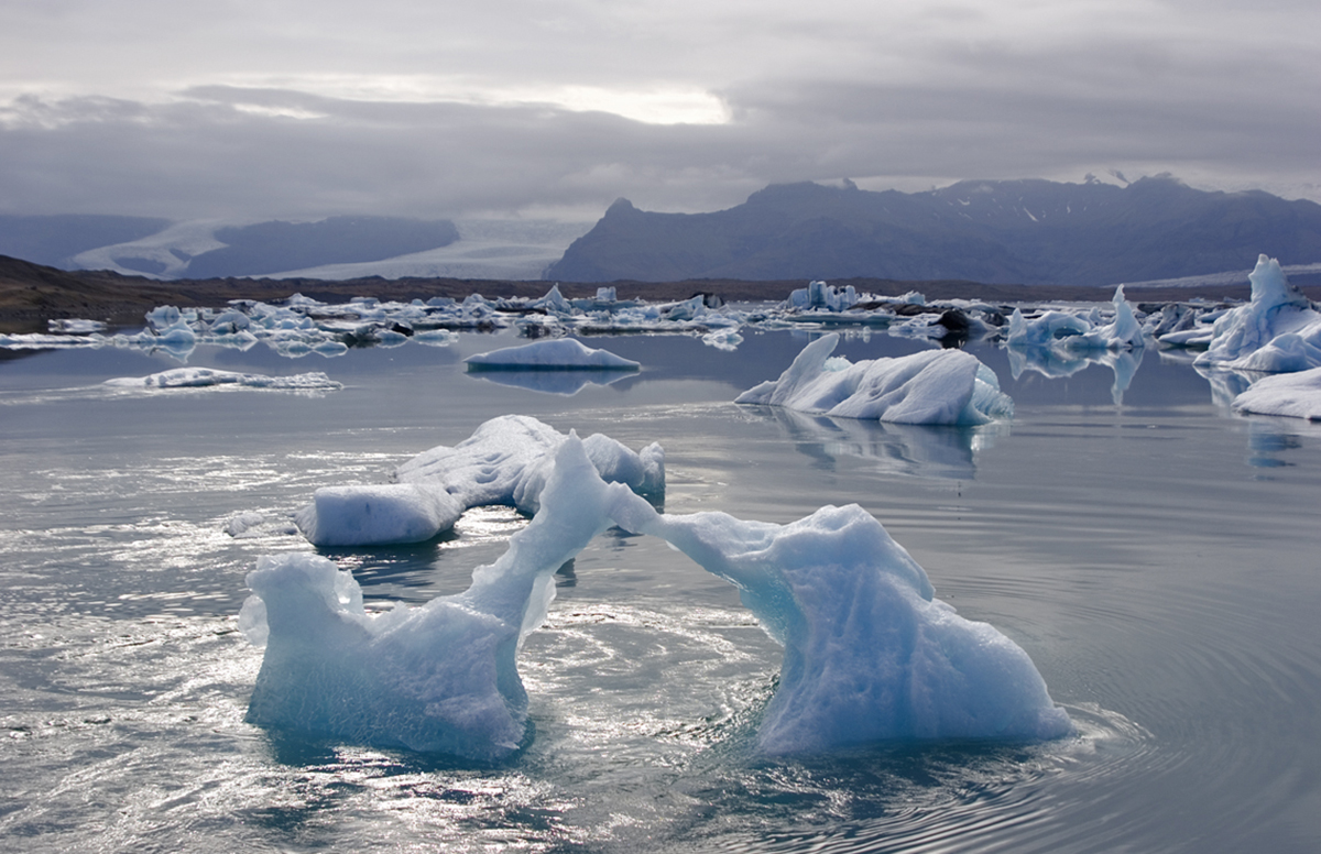 Какую страну называют страной льда и огня. Ледник ватнайёкюдль. Исландия ледник ватнайёкюдль. Исландия ледниковая Лагуна. Ватнайёкюдль национальный парк животные.