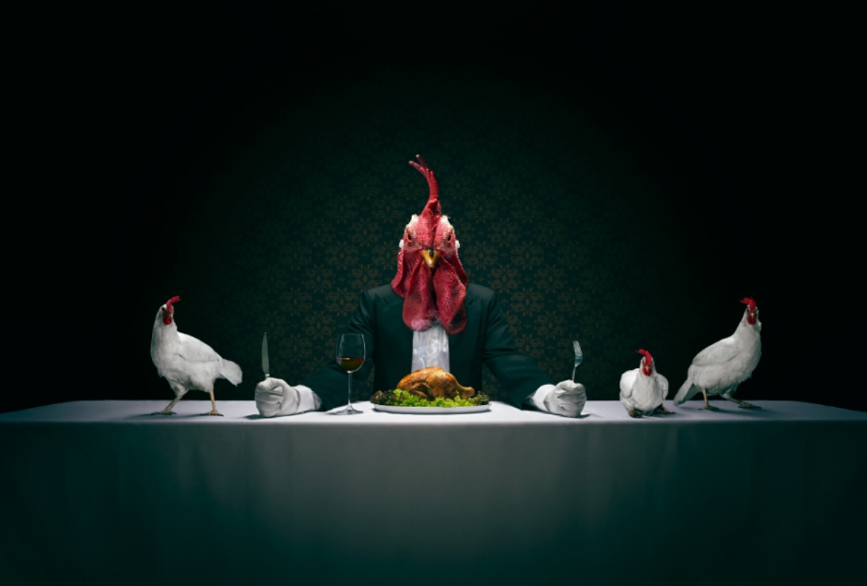 Реклама курочки. Курица креатив. Реклама курицы. Креативная реклама кур. Курица за столом.