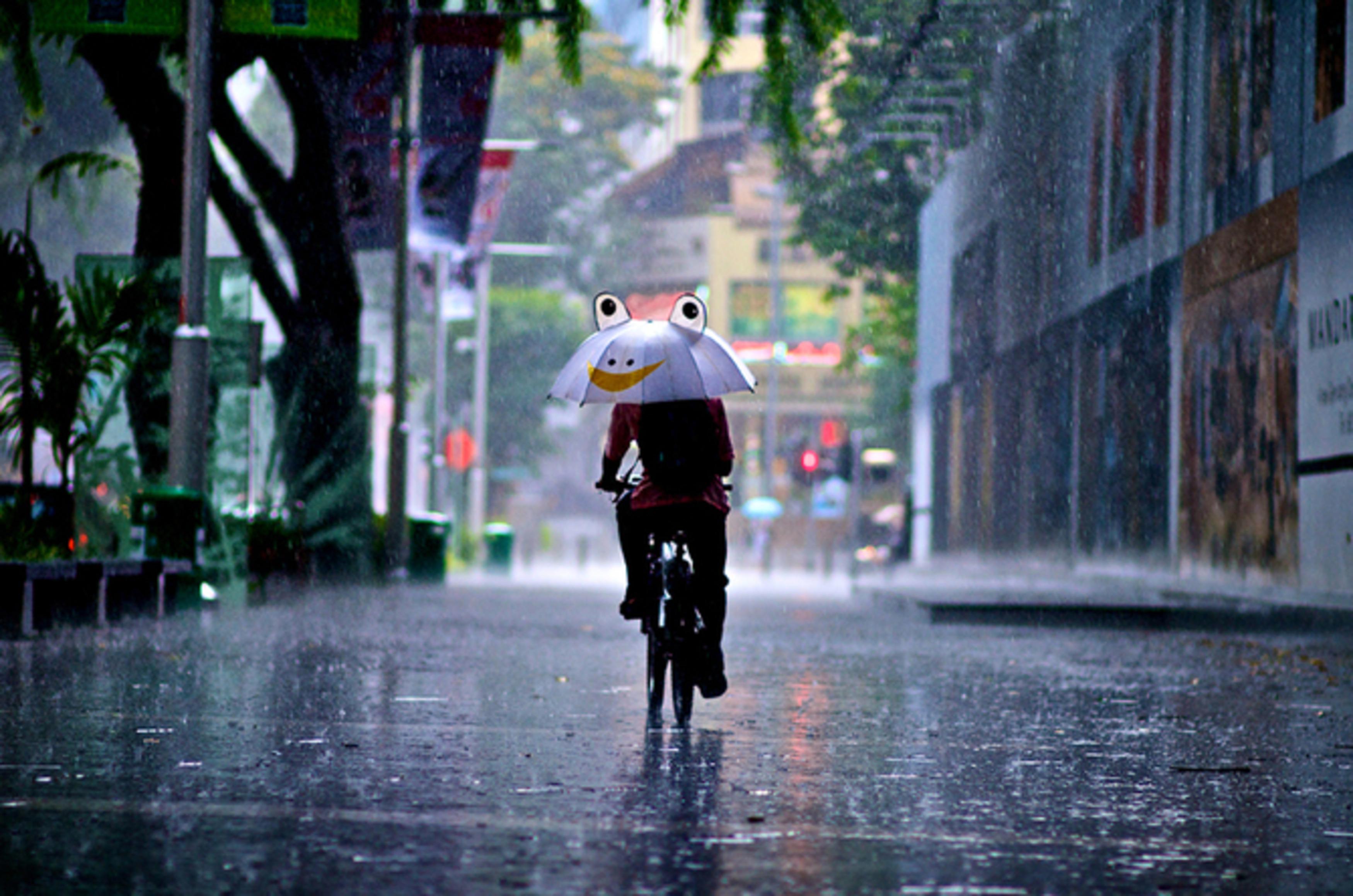 Rainy day. Дождливый день. Погода дождь. Веселый дождь фото. Rain Street.