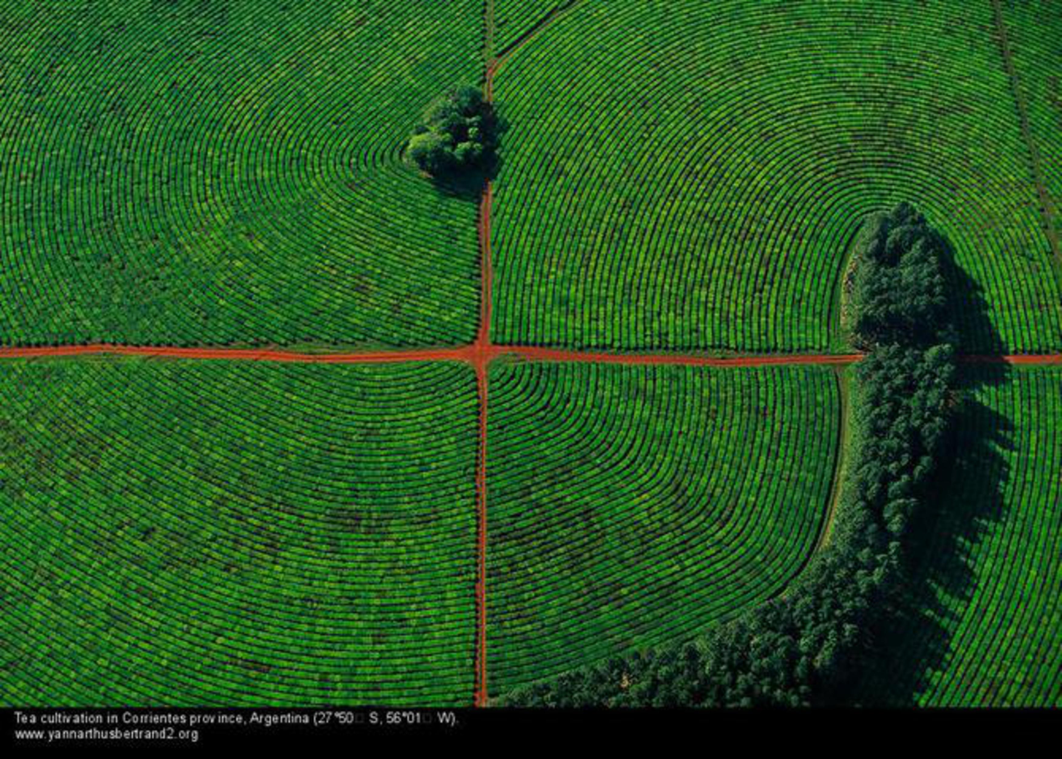 Поверхность участка. Yann Arthus-Bertrand. Фотограф Ян Артюс-Бертран. Аэрофотографии земли Ян Артюс. Ян Артюс Бертран (звезда Востока).