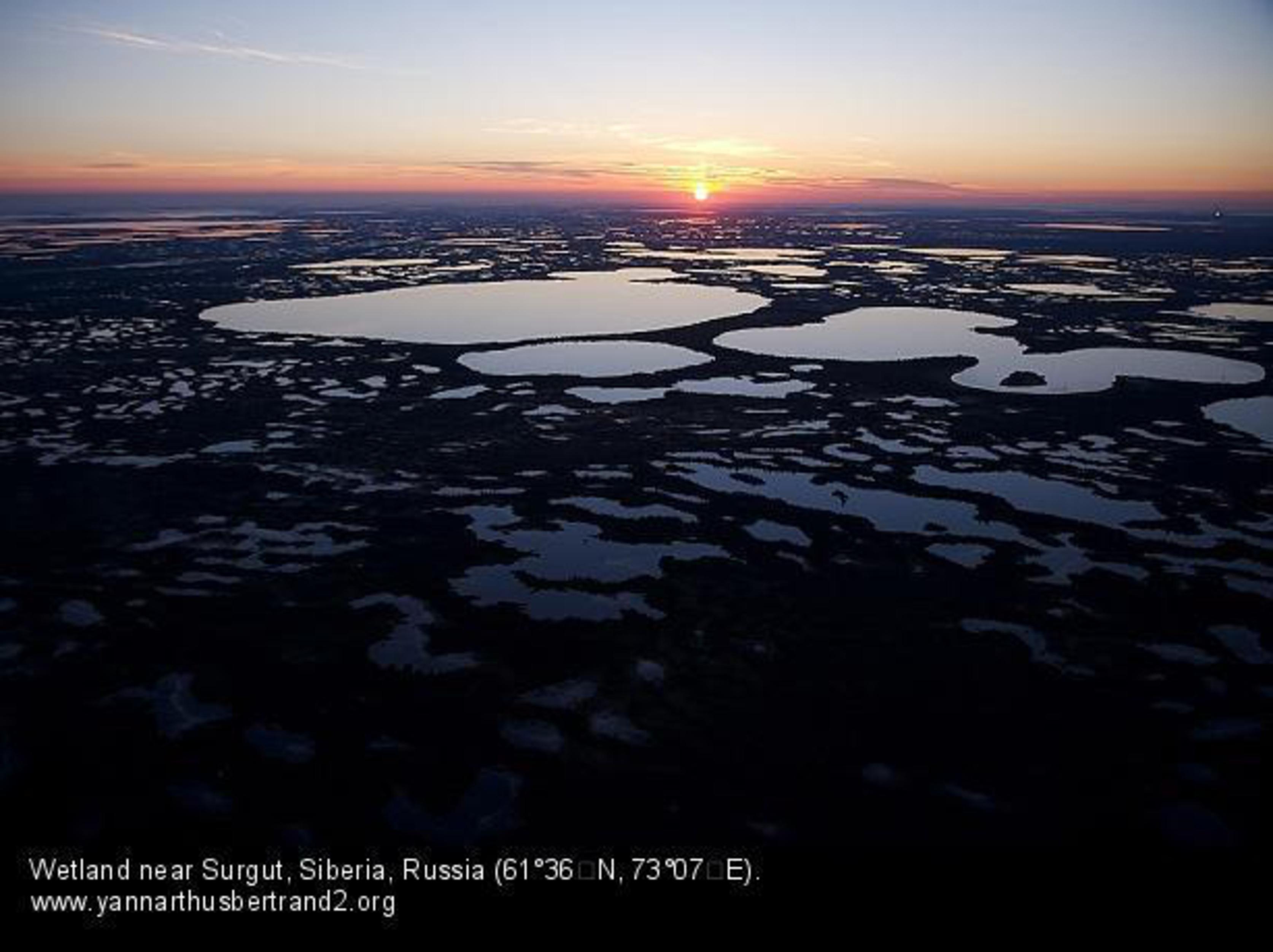 Болото с высоты. Васюганское болото. Васюганское болото снимок из космоса. Васюганское озеро. Васюганские болота вид из космоса.
