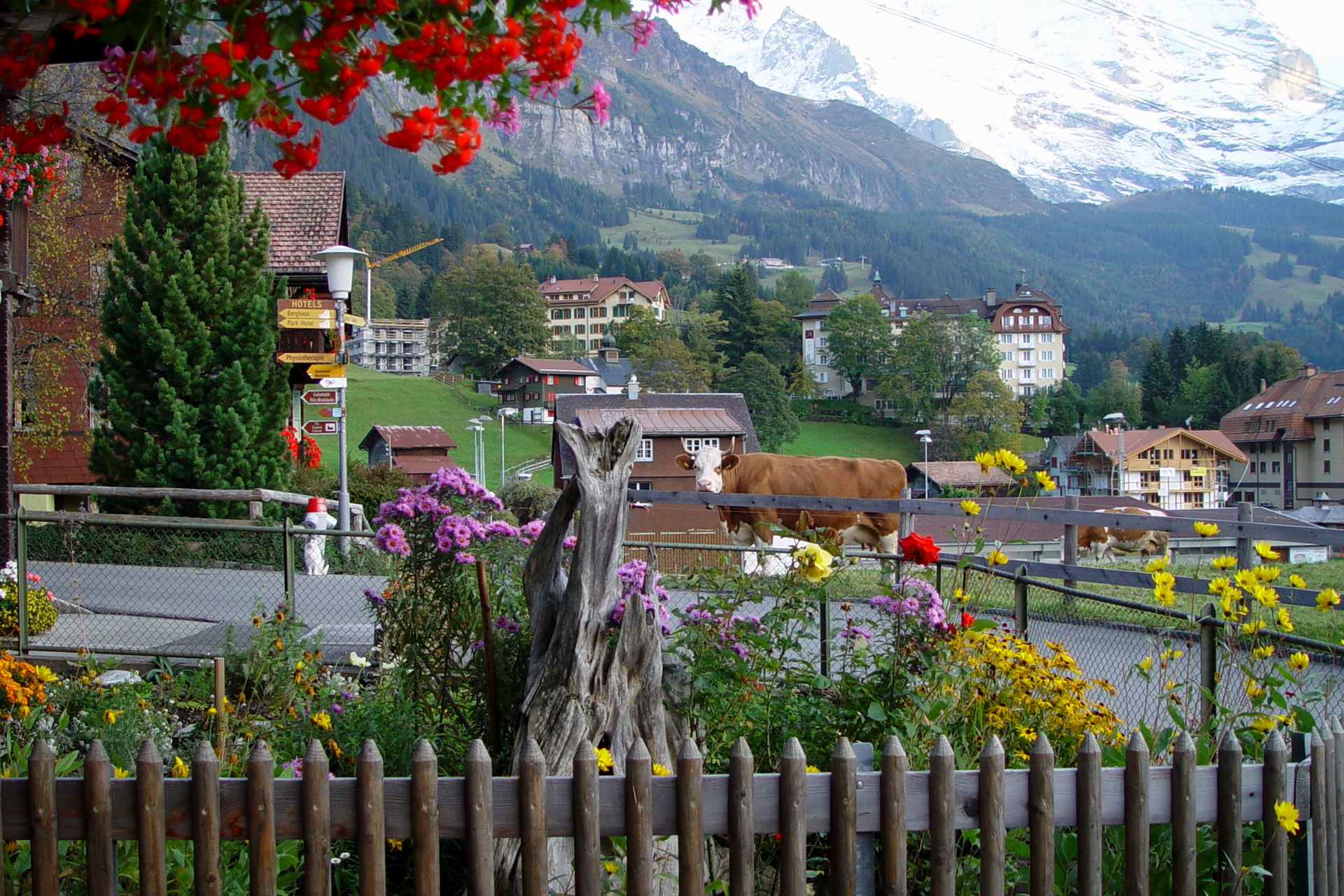 Швейцария маленькая страна. Деревня Венген Швейцария. Альпийская деревня Wengen, Швейцария. Швейцария Горная деревушка Высокогорная. Берн Швейцария деревня.