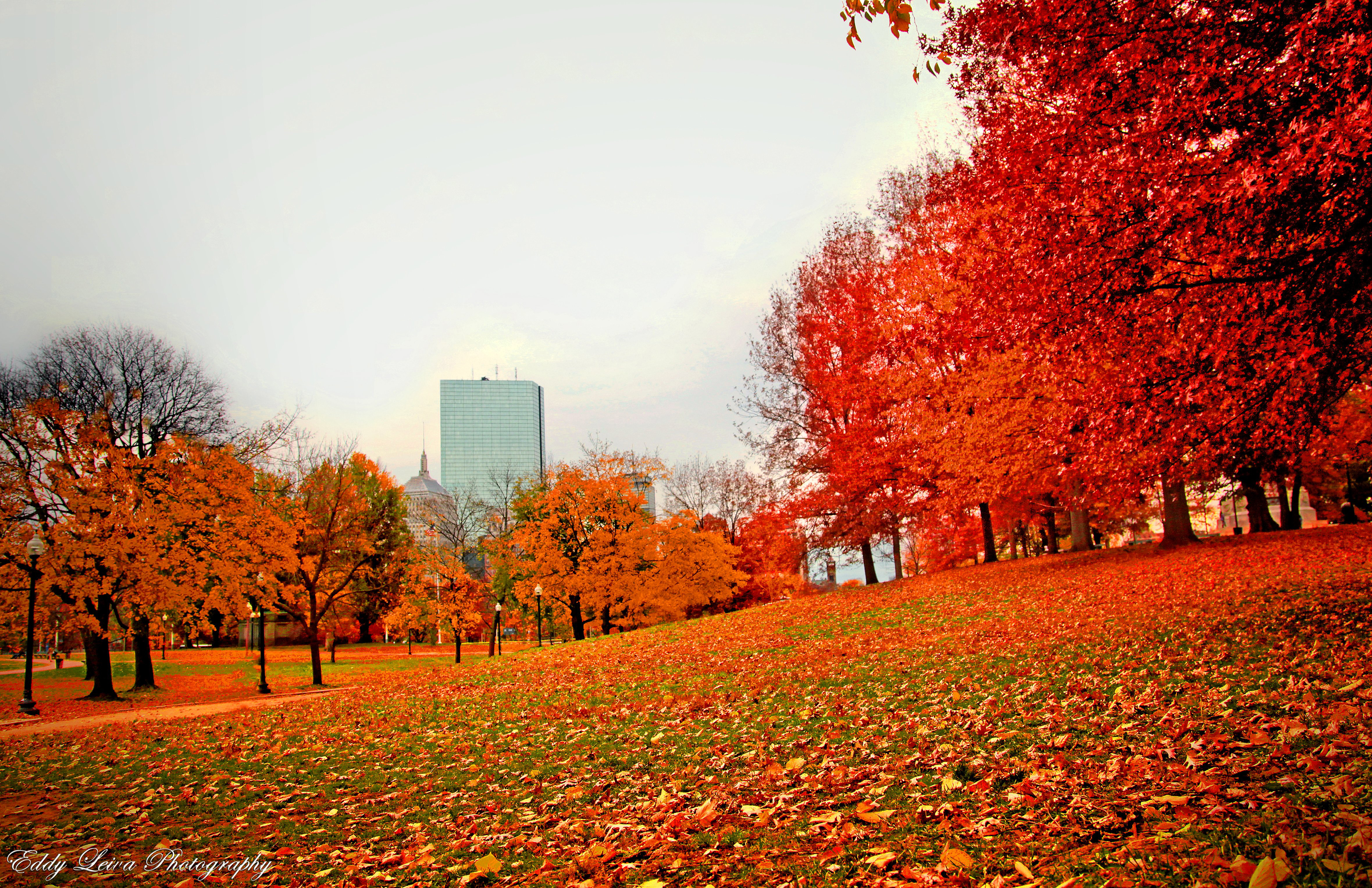 Autumn us. Осенний Бостон парк. Осень в городе. Осенний парк в городе. Осенний парк США.