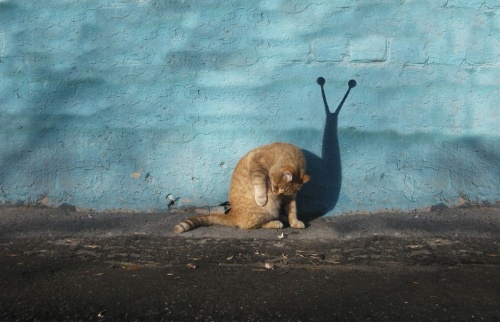 Гигант уличного искусства - Алексей Меньшиков (37 фото)