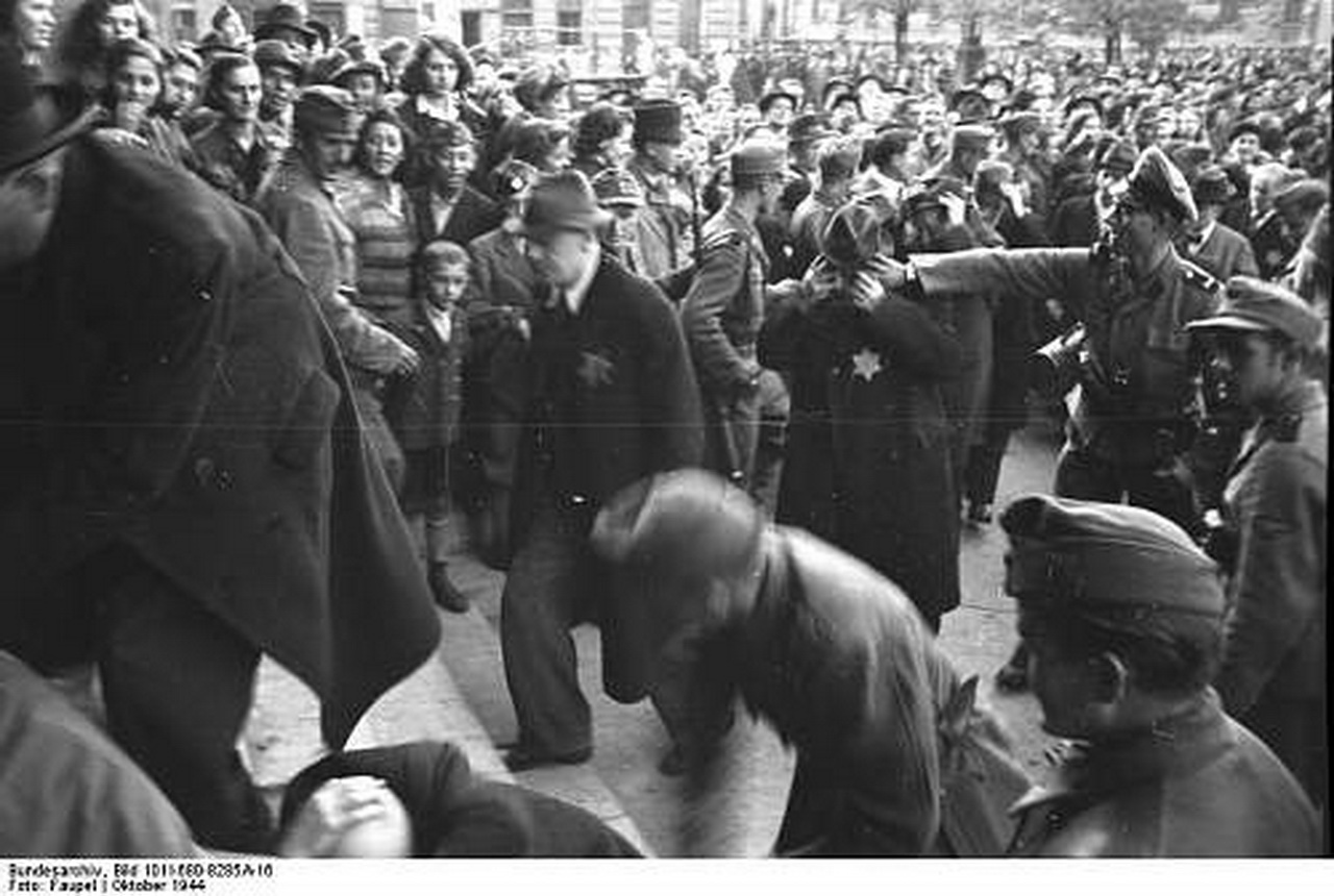 Казни евреев. Расстрел евреев в Будапеште. Холокост в Будапеште в 1945 году. Издевательства фашистов.