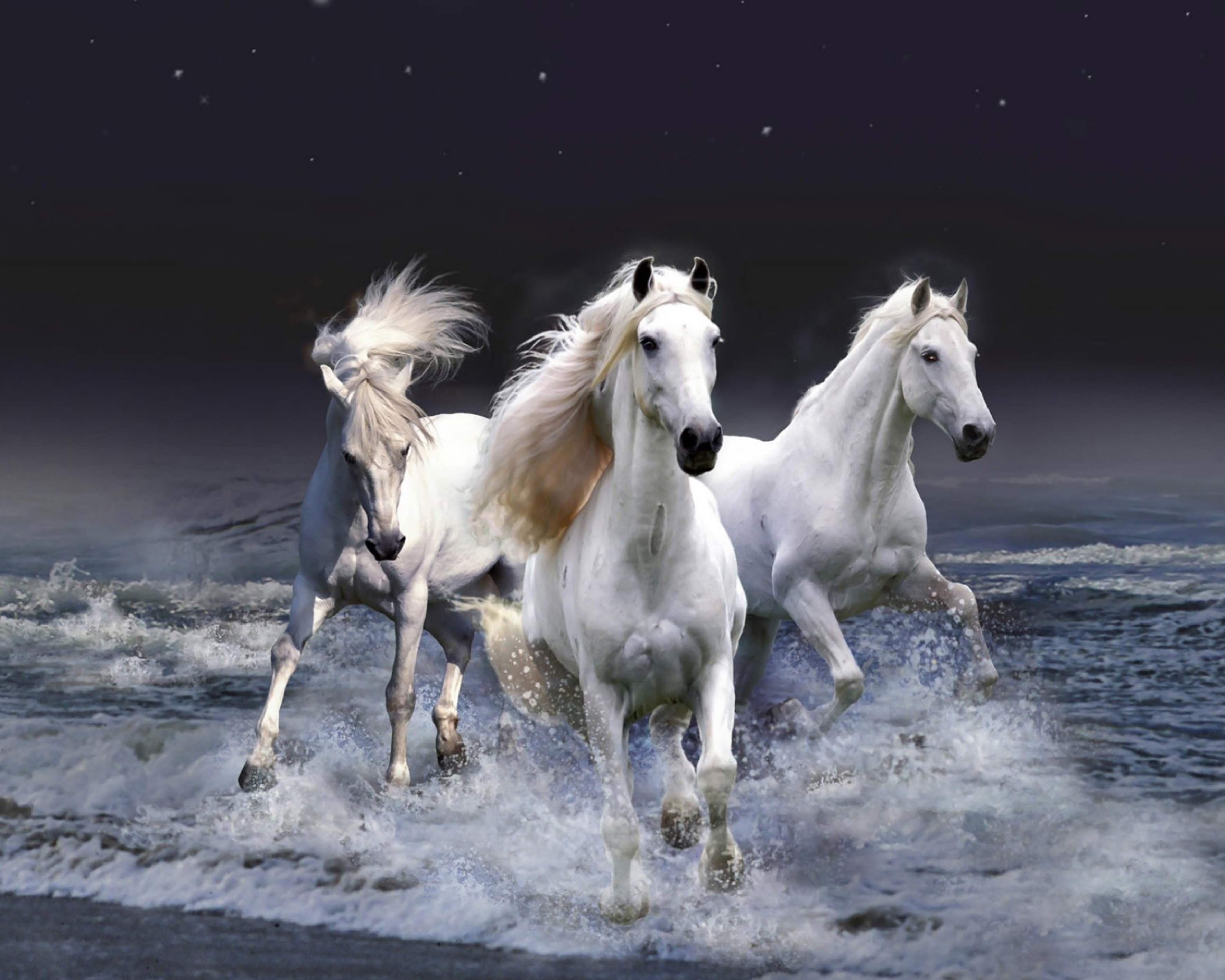 Три лошадки. Белая лошадь. Красивая белая лошадь. Лошадь бежит. Тройка белых лошадей.