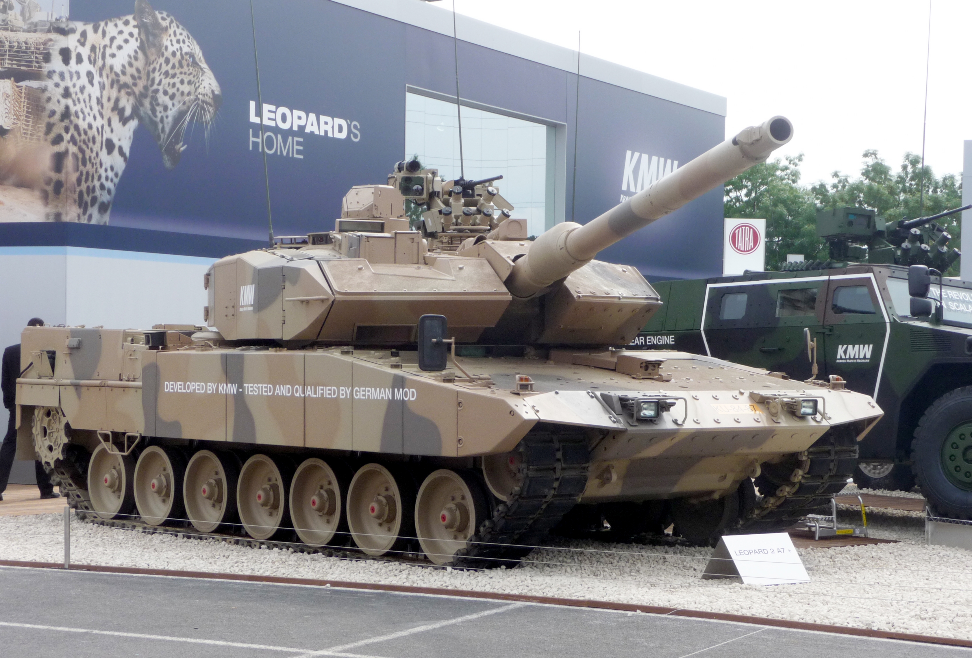 Leopard 5