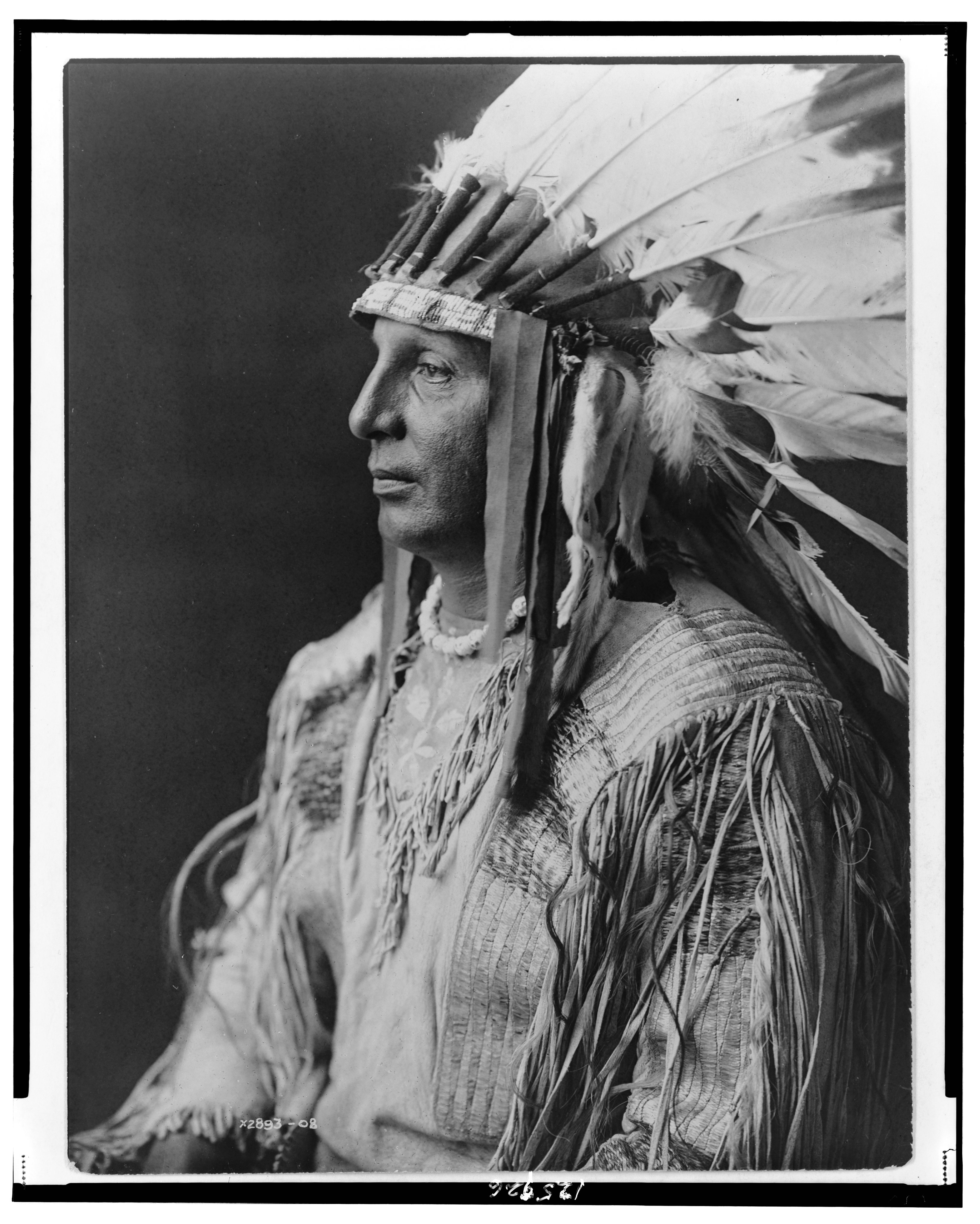White tribe. Индейцы Северной Америки Сиу. Могикане индейцы Северной Америки. Индейцы Чокто. Апачи индейцы.