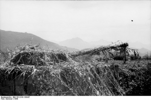Фотографии из немецкого федерального архива часть 36 (103 фото)
