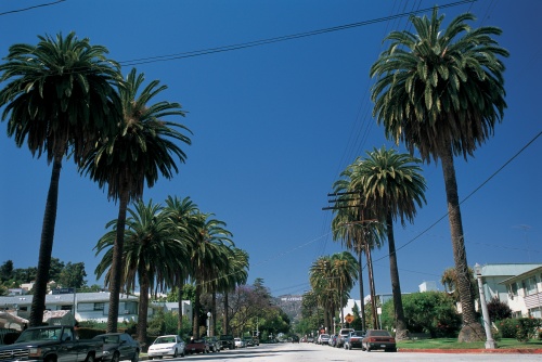 Aggressive Los Angeles 1 (101 фото)