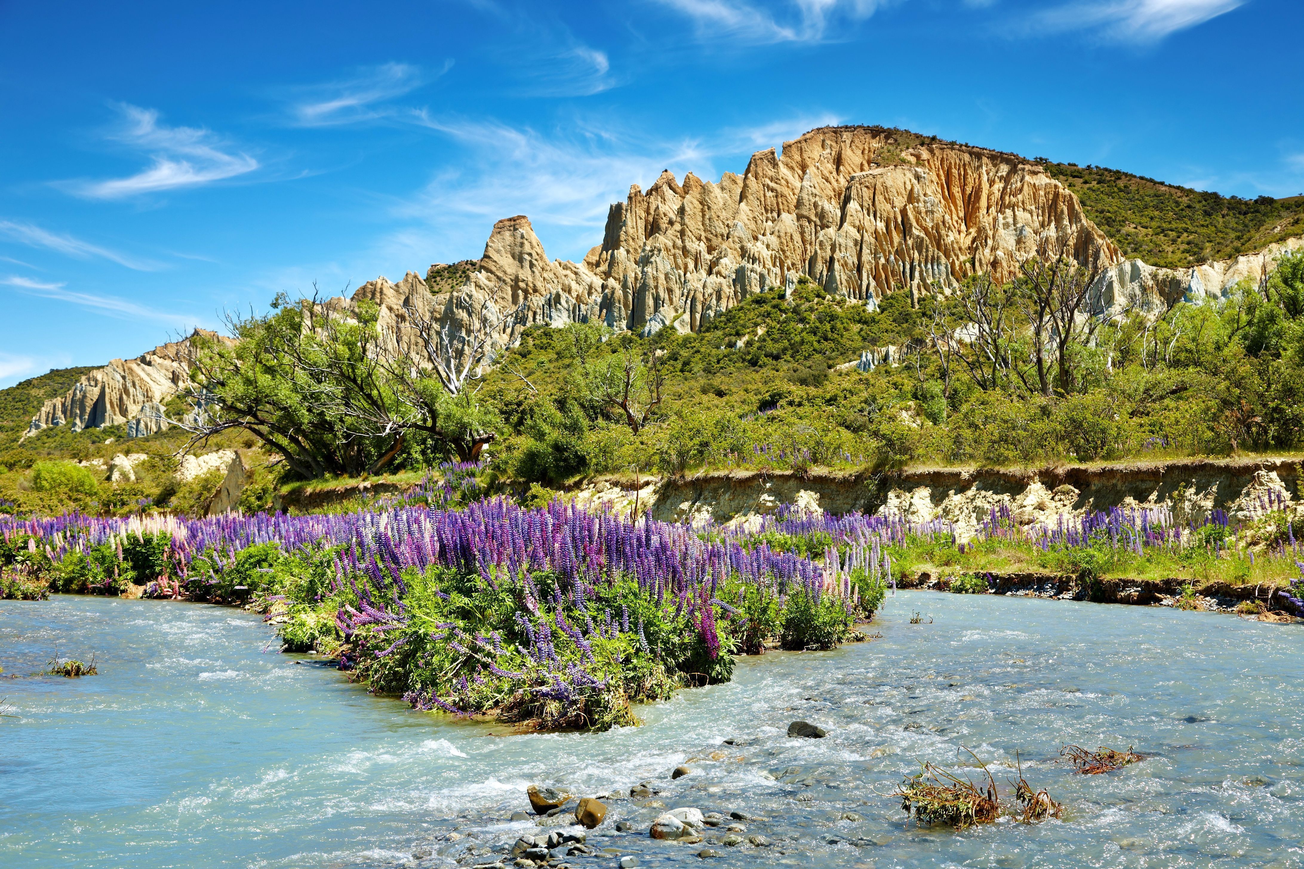 Река изма. Австралийские Альпы цветы. Горы река цветы.