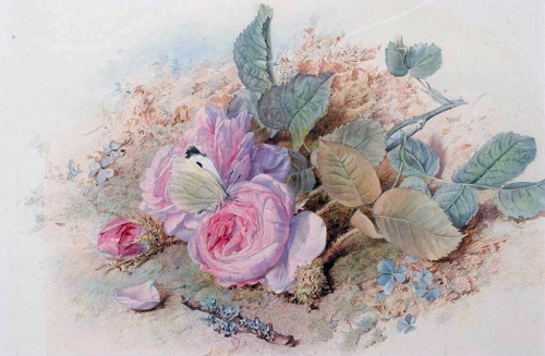 Натюрморты Mary Elizabeth Duffield (British, 1819 - 1914) (28 работ)