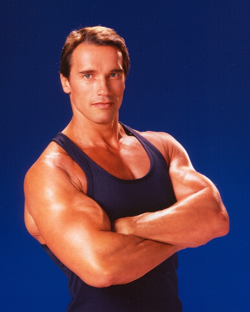 Arnold Schwarzenegger - Harry Langdon's collection (1985) (15 фото)