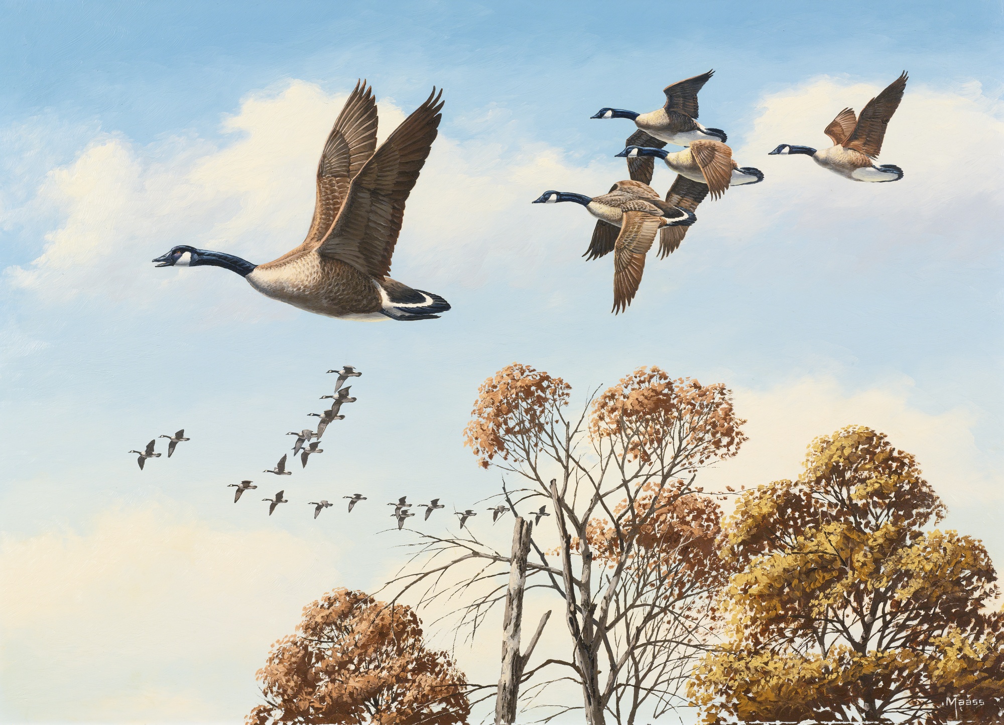 Фон перелетные птицы для детей. David Maass картины. Художник David a. Maass. Птицы улетают. Пролетающая птица.