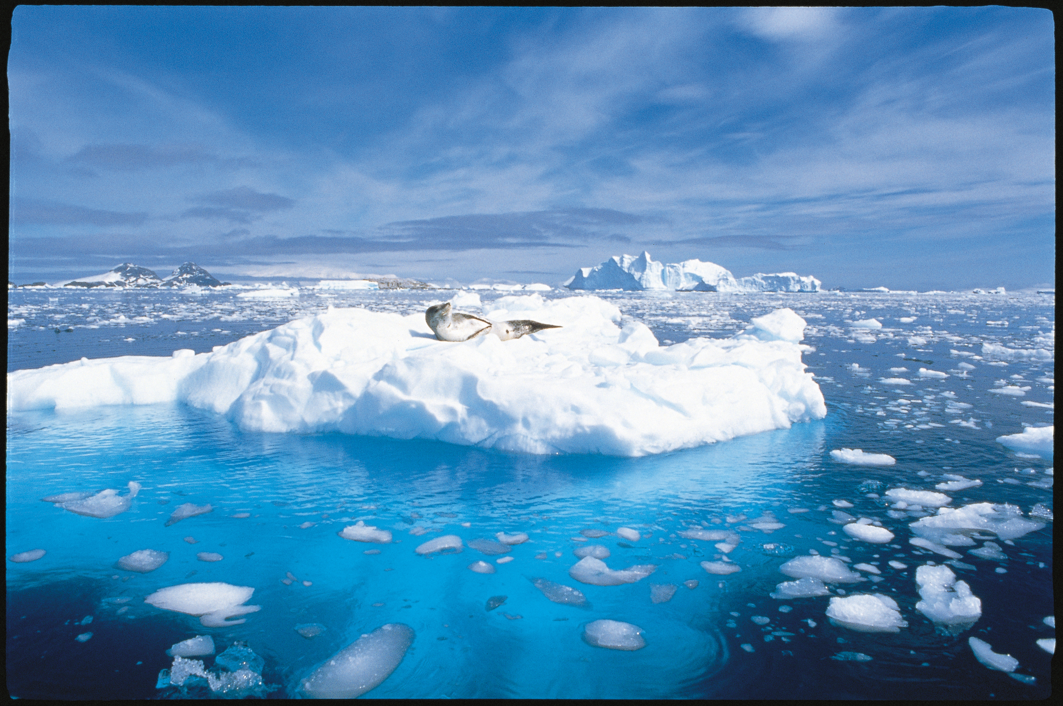 Ледовитый океан видео. Океан Северный Ледовитый океан. Арктика Северный Ледовитый океан. Северный полюс Северный Ледовитый океан. Арктика Северо Ледовитого океана.