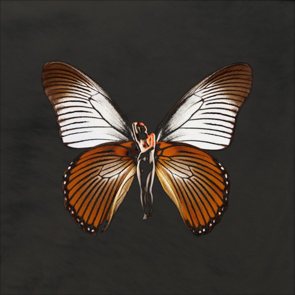 Сложенные крылья бабочки. Карстен Витте бабочки. Карстен Витте Психея. Крылья бабочки. Женщина бабочка.