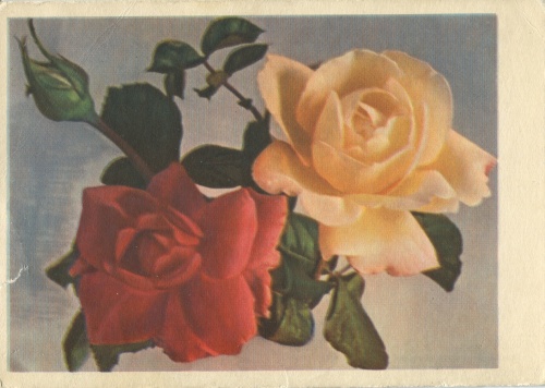 Сответские открытки. (34 Часть). Цветы (54 открыток)