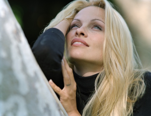 Памела Андерсон - Pamela Anderson. Фотосессии - Photosessions (1991 - 2013) (фото)
