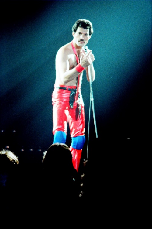 Freddie Mercury and Queen - Фредди Меркури и группа Queen (Big Photo Pack) (1800 фото)