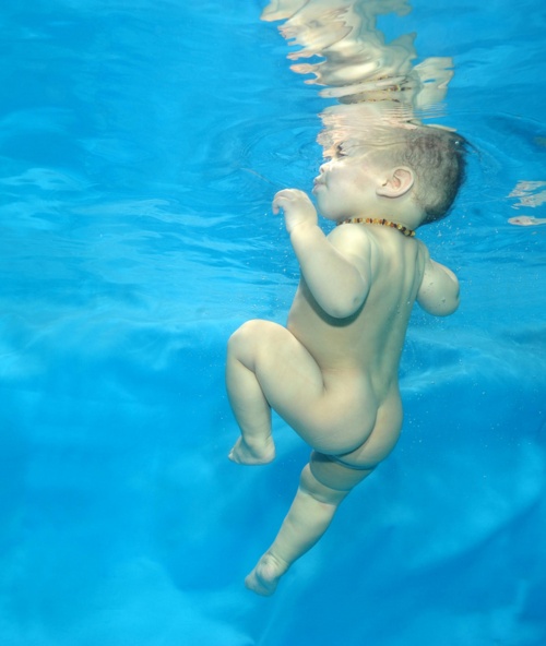 Малыши под водой... Фотограф Phil Shaw (19 фото)