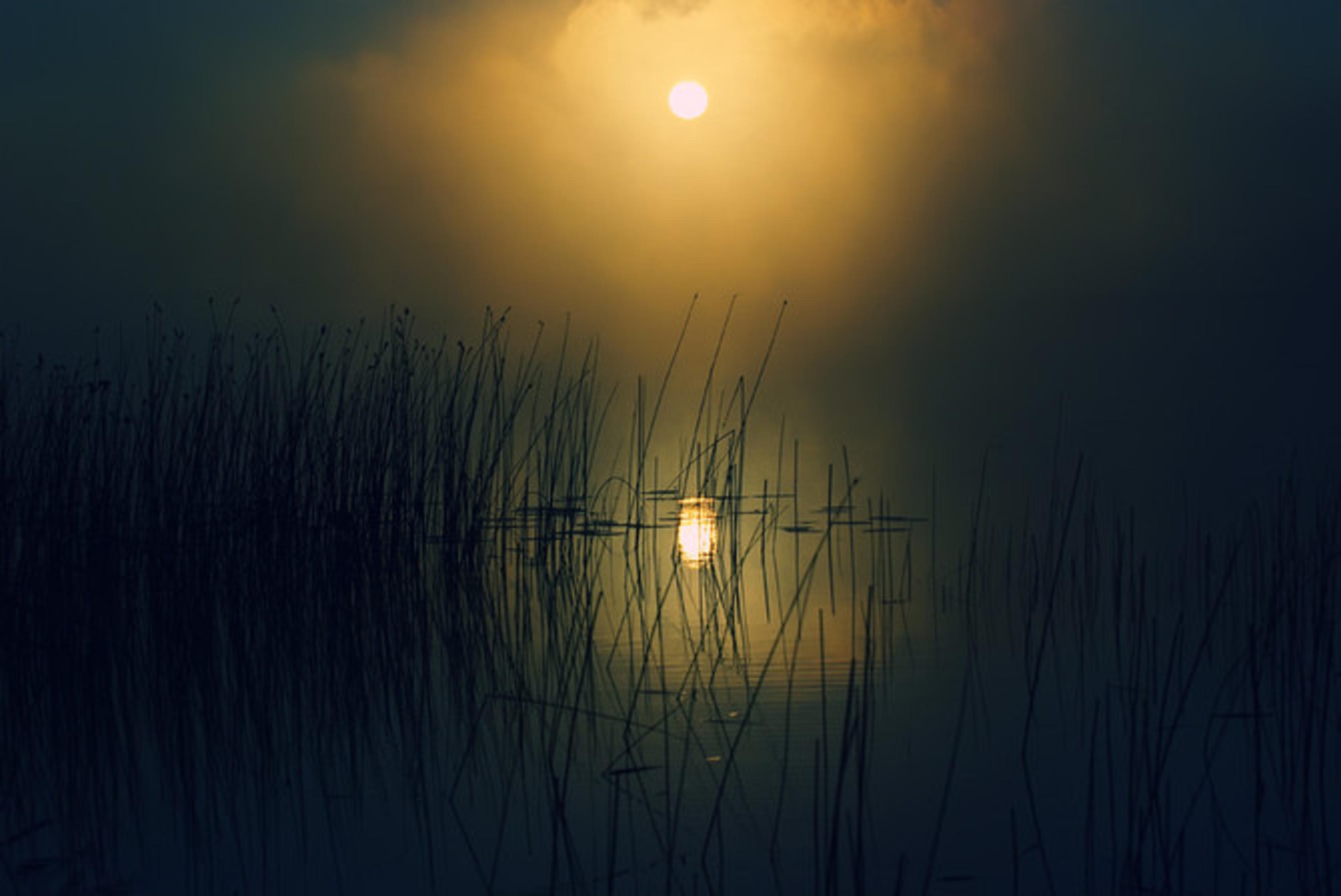 Вода озеро свет. Туман ночью. Ночное болото. Болото ночью туман. Луна над озером в тумане.