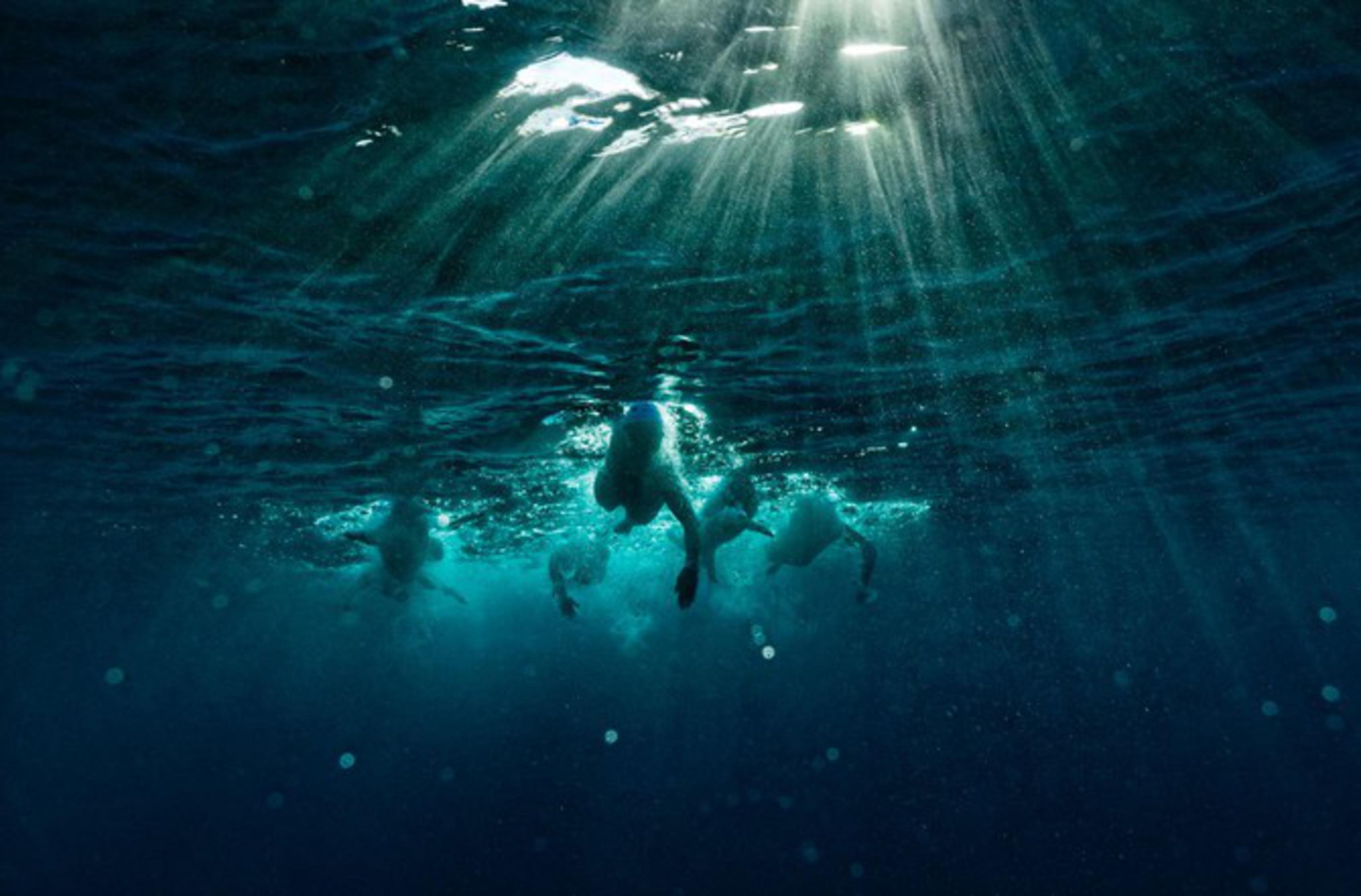 Под водой над водой. Курт Арриго фотограф. Подводные съемки океана. Под водой красиво. По водой.