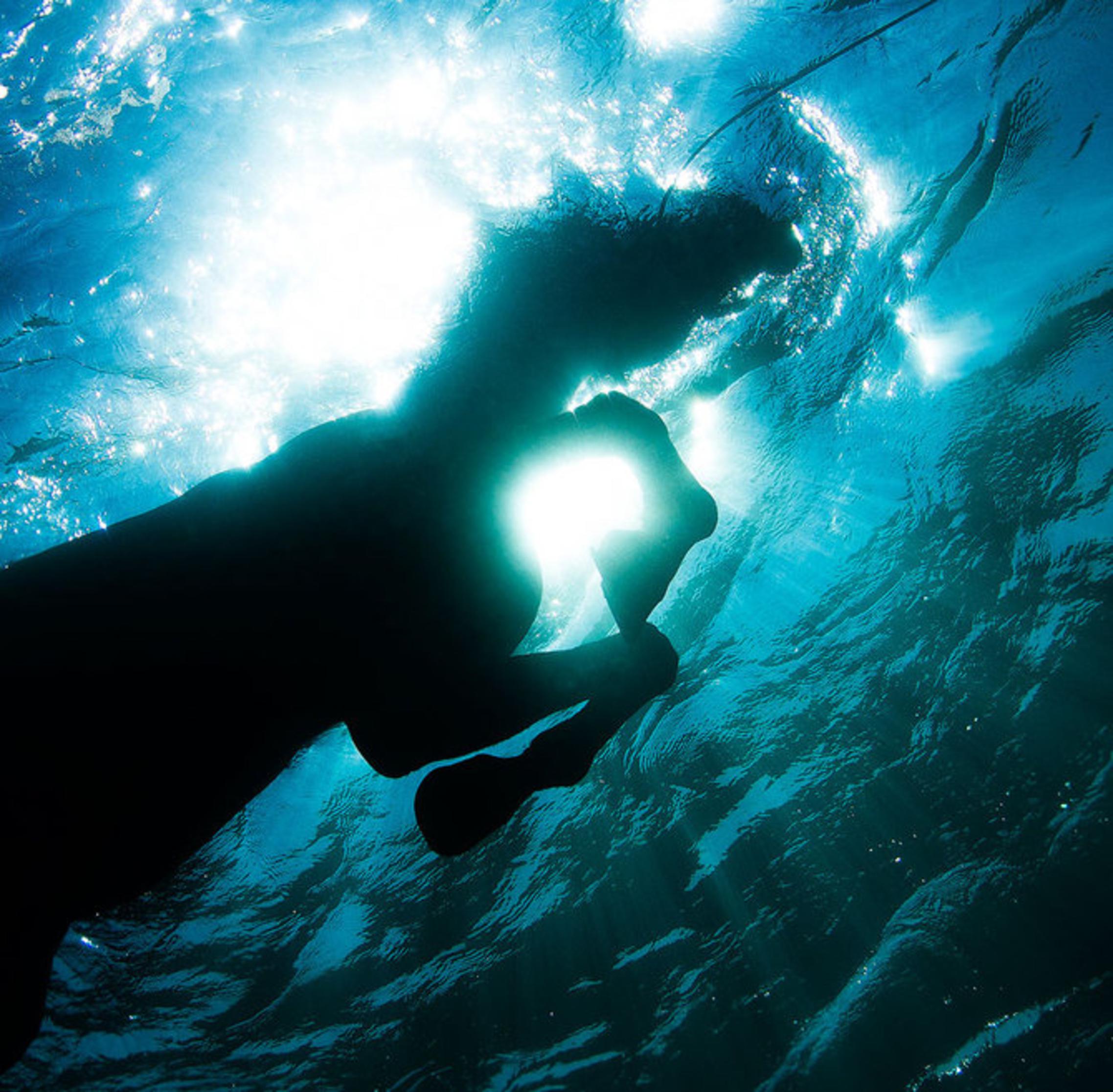 Притяжение воды в океанах луной. Курт Арриго фотограф. Свет под водой. Под водой. Свет в воде.