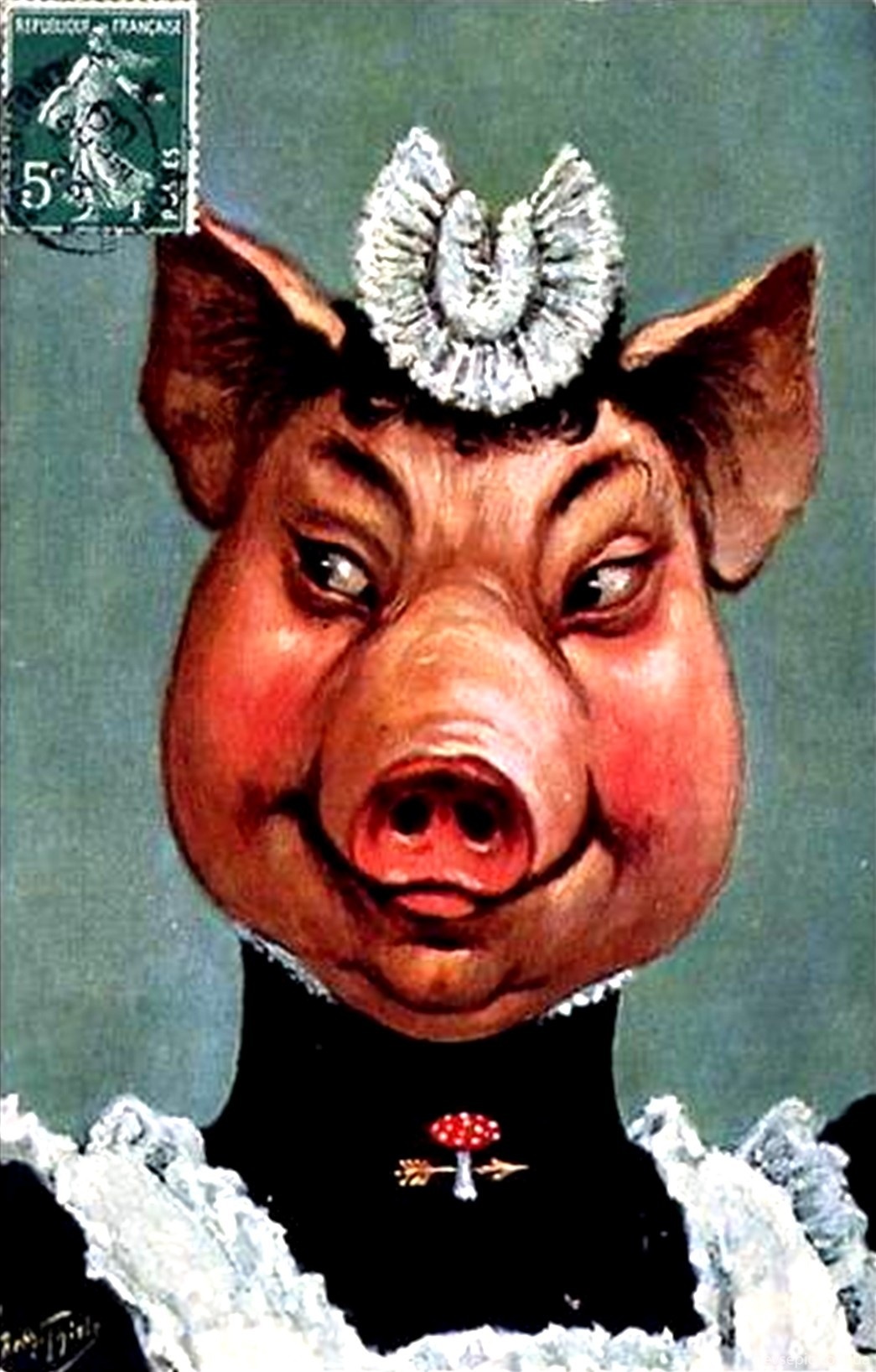 Гоголь свинья. Баварская свинья.