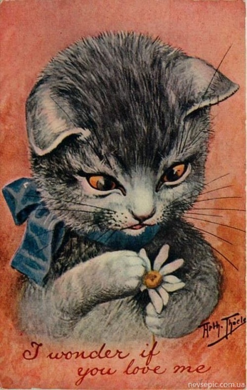 Немецкий художник Carl Robert Arthur Thiele часть 2 - Коты, кошки, собаки и другие животные (195 фото)