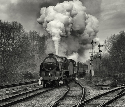 Steam locomotive (145 фото)