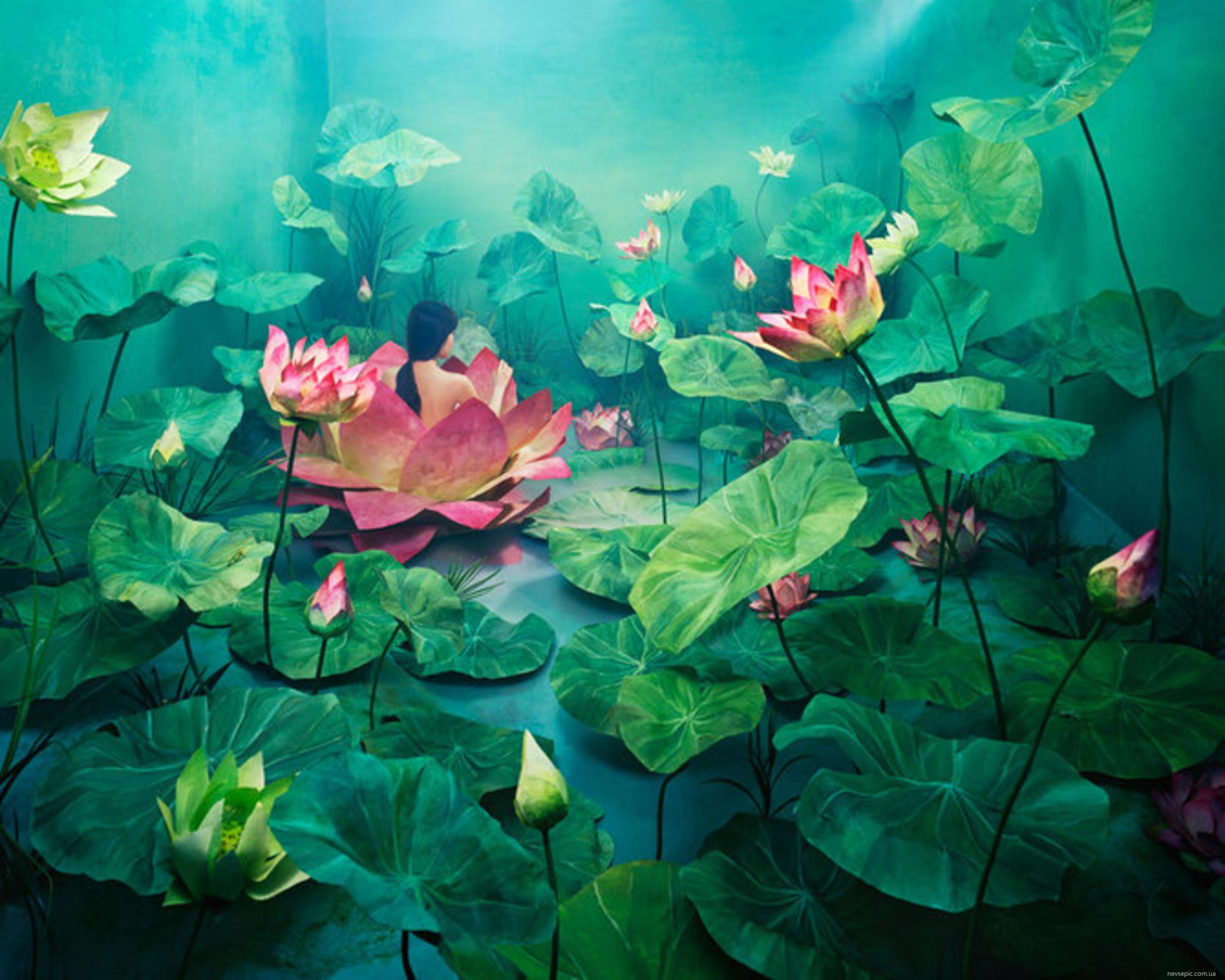 Сцены с лотосами на воде. Озеро лотосов батик. Лотос диджитал арт. Сказочные цветы. Озеро с кувшинками арт.